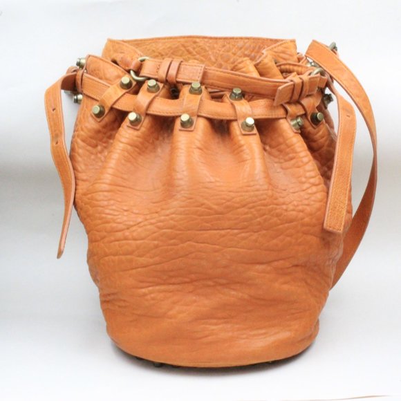 Alexander Wang Authentic Diego Orange Textured Bucket Bag - Picture 3 of 14